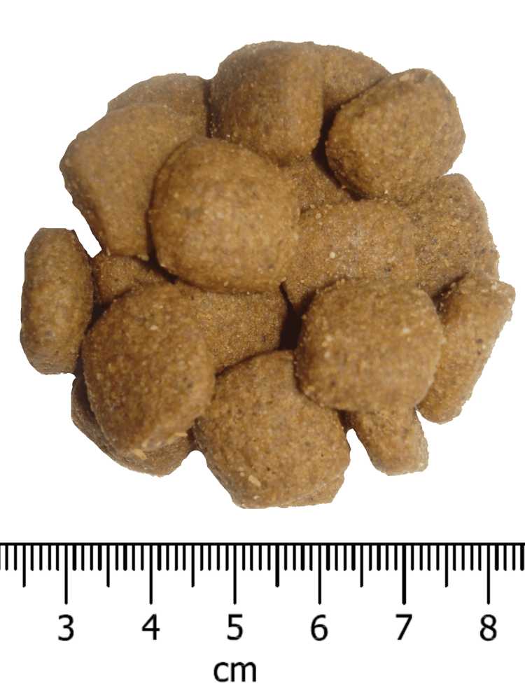 OPTIMAnova dog MOBILITY 12kg-11101