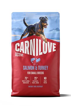 Carnilove Dog Active Dry Salmon&Turkey Adult SB 4kg