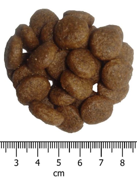OPTIMAnova dog ADULT MEDIUM 2kg-11080-Z