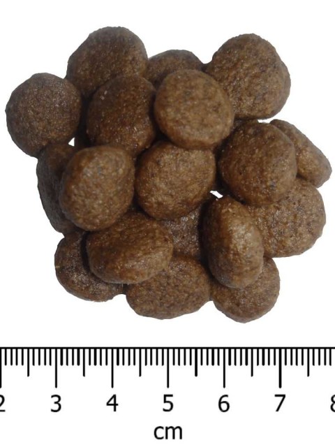 OPTIMAnova dog PUPPY LARGE 2kg-11082