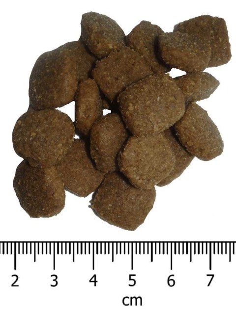OPTIMAnova dog ADULT ACTIVE 12kg-11095