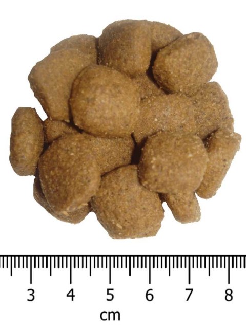 OPTIMAnova dog MOBILITY 12kg-11101