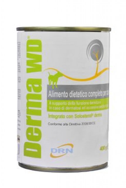 Derma W/D konz. pes 400g