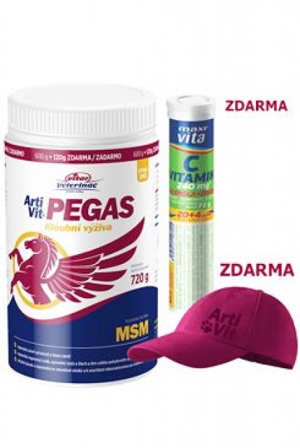 VITAR Veterinae ArtiVit Pegas MSM 720g