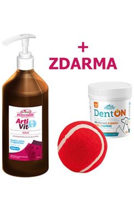 VITAR ArtiVit Sirup 1000ml+DentON100g+aportovací míček