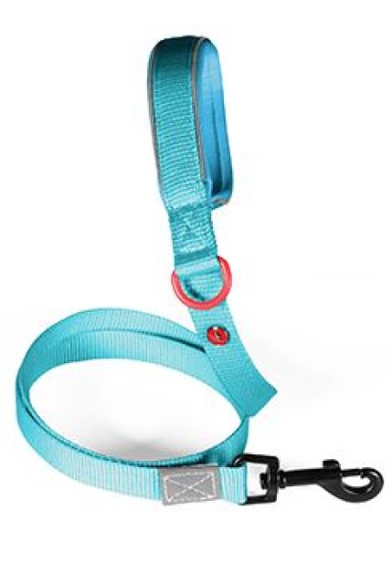 Vodítko pes PREMIUM nylon 15mm/1,2m tyrkysová Zolux