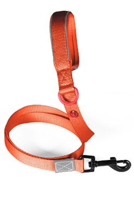 Vodítko pes PREMIUM nylon 25mm/1,2m tm.oranž. Zolux